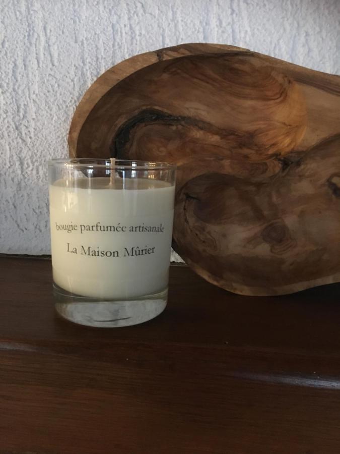 La Maison Murier Chef-Boutonne Zewnętrze zdjęcie